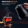 Electric Gooseneck Kettle Ultra Fast Boiling Hot Water Kettle Leak-Proof Design, Auto Shutoff Anti-dry Protection, 1200W-0.8L, Matte Black