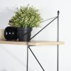 Display Shelves