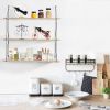Display Shelves