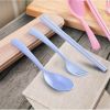 3 In 1 Spoon Fork & Chopstick Set With Organizer Box