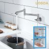 Pot Filler Faucet Wall-Mount for Kitchen Integrated Embedded NPT Thread Design Lead-Free Stainless Steel Faucet with 360Â° 2-Handle Folding Arms Rotat